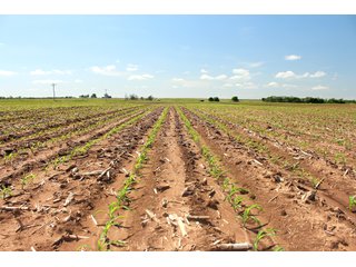 Property photo 45 - LAND AUCTION - 1,371+/- ACRES OFFERED IN 25 TRACTS IN GOLDSBY, OKLAHOMA